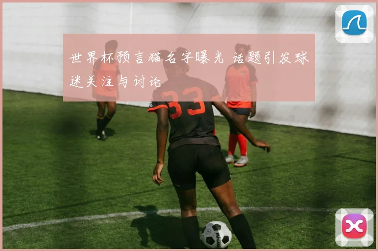 世界杯预言猫名字曝光 话题引发球迷关注与讨论