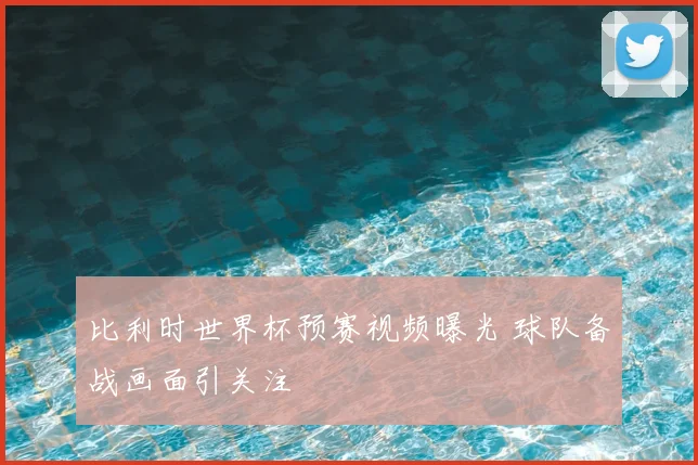 比利时世界杯预赛视频曝光 球队备战画面引关注